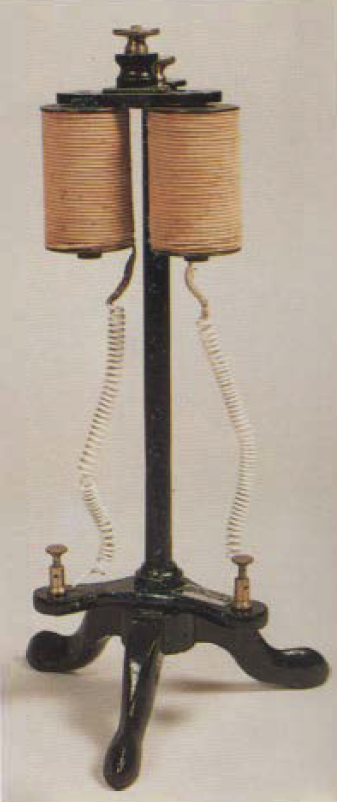 Immagine del Elettrocalamita