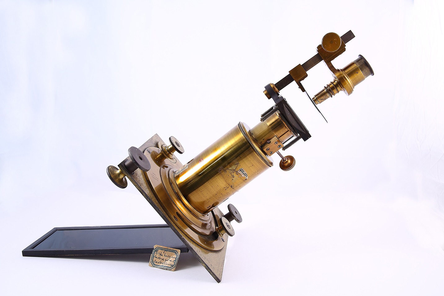 Immagine del Microscopio solare