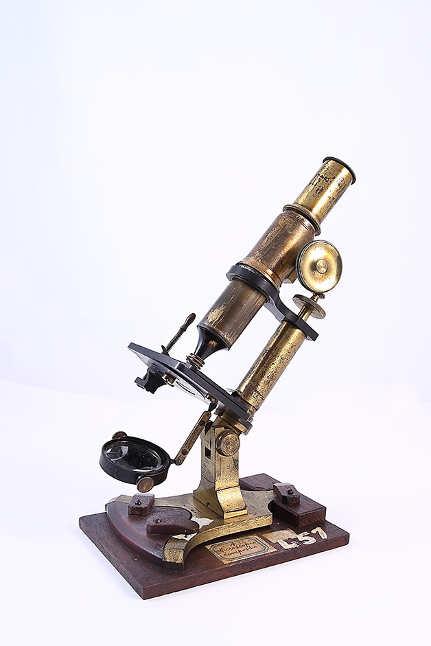 Immagine del Microscopio